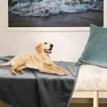 Onarway Washable Dog Blanket Set - 4 Pack