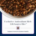 Blue Buffalo Basics Turkey Recipe Grain-Free Dog Food