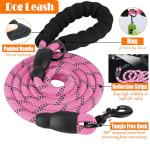 LOBEVE No Pull Dog Harness, Leash & Accessories Set