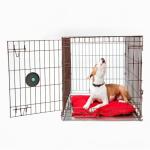 Multipurpose Dog Licking Mat and Slow Feeder