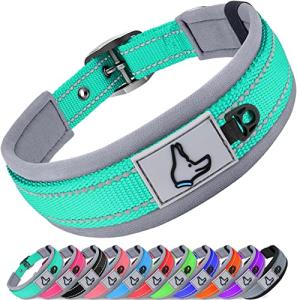 Teal Reflective Dog Collar for Large Breeds