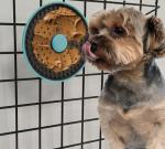Multipurpose Dog Licking Mat and Slow Feeder