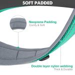 Teal Reflective Dog Collar for Large Breeds