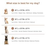 Collapsible 36 Inch Soft Dog Crate for Travel