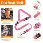 LOBEVE No Pull Dog Harness, Leash & Accessories Set