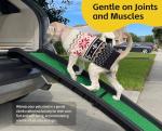 PawStep Portable Dog Ramp for Cars and Trucks