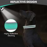 Teal Reflective Dog Collar for Large Breeds