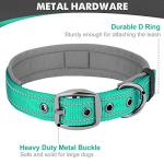 Teal Reflective Dog Collar for Large Breeds