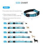 Waterproof AirTag Dog Collar with Reflective Design