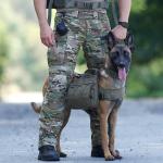 ONETIGRIS Hiking Dog Backpack with Side Pockets