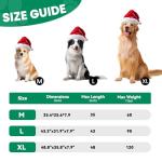 Large Elevated Dog Bed with Cooling Mesh