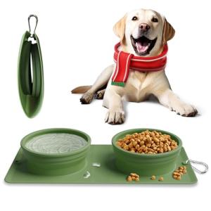 Collapsible 2-in-1 Portable Dog Bowl with Carabiner