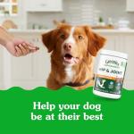 Greenies Hip and Joint Dog Supplements, Chicken Flavor