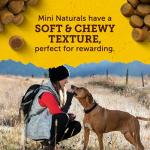 Zuke’s Mini Naturals Beef Recipe Dog Treats 6 oz