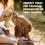 Freeze Dried Salmon Treats for Dogs & Cats