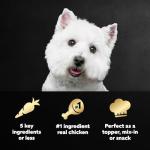 Cesar Wet Dog Food Toppers Variety Pack, 8 Count