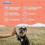 Freeze Dried Salmon Treats for Dogs & Cats