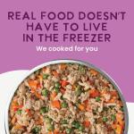 Health Extension Chicken & Pumpkin Dog Food 9 oz