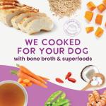 Health Extension Chicken & Pumpkin Dog Food 9 oz