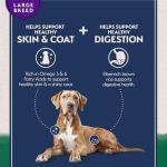 Natural Balance Large Breed Dry Dog Food - Lamb & Rice