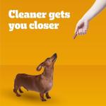 Pedigree Dentastix Bacon & Chicken Dog Treats