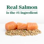 Nutro Limited Ingredient Adult Dog Food, Salmon