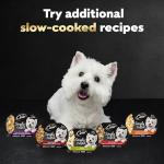 Cesar Wet Dog Food Toppers Variety Pack, 8 Count