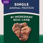Natural Balance Large Breed Dry Dog Food - Lamb & Rice