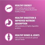 IAMS Healthy Aging Dry Dog Food with Chicken