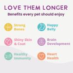 Health Extension Chicken & Pumpkin Dog Food 9 oz