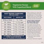 Natural Balance Vegan Plant-Based Dog Food, 24 Pound