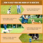 Upgraded Motion Activated Dog Ball Toy