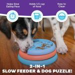 Outward Hound Lickin’ Layers 3-in-1 Dog Feeder