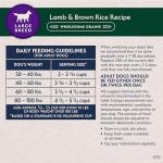 Natural Balance Large Breed Dry Dog Food - Lamb & Rice