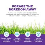 Outward Hound Lickin’ Layers 3-in-1 Dog Feeder