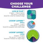 Outward Hound Lickin’ Layers 3-in-1 Dog Feeder