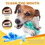BoYoYo Indestructible Dog Chew Toys - 2 Pack