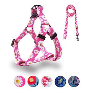 QQPETS Adjustable No Pull Dog Harness and Leash