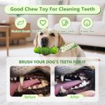 Indestructible Chew Toys for Aggressive Dogs