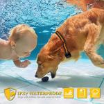 Heaflex Remote Dog Training Shock Collar