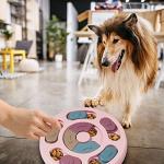 Dr. Catch Dog Puzzle Feeder Toy for IQ Training