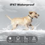 Remote Training Collar for 2 Dogs, Waterproof