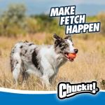 Chuckit! Ultra Dog Ball and Launcher Set