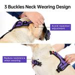 No Pull Dog Harness for Small Dogs – Purple