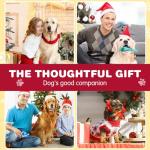 BoYoYo Indestructible Dog Chew Toys - 2 Pack