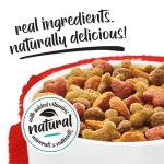 Purina Beneful Incredibites Small Breed Dog Food