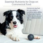 Daily Vitamins & Minerals for Dogs - 8 oz