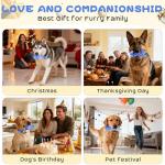 WinTour Indestructible Dog Chew Toys, 3 Pack