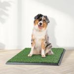Reusable 4-Layer Puppy Pee Pad with Tray
