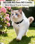 GPS Tracker for Dogs and Cats - No Subscription